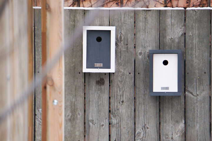 PATKAR Nistkasten Kiefernholz